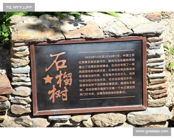 长征攻略,长征路线自驾游攻略:长征烽火:一部战略家必读的攻略秘籍 长征攻略,长征路线自驾游攻略:长征烽火:一部战略家必读的攻略秘籍